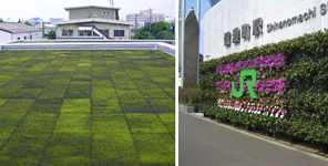 苔緑化「トモス緑化システム」＆壁面緑化（EGD工法）[節電ナビ]